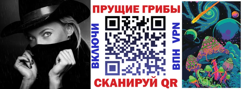 МЕГА как войти  Судак  Псилоцибиновые грибы Cubensis 