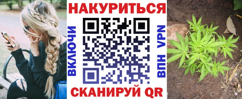 Каннабис ГИДРОПОН omg зеркало Судак где можно купить наркотик